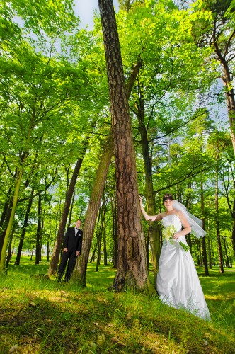 ślub Zielona Góra plener fotograficzny  