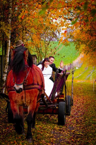 Zdjęcia ślubne plener Grudziądz        